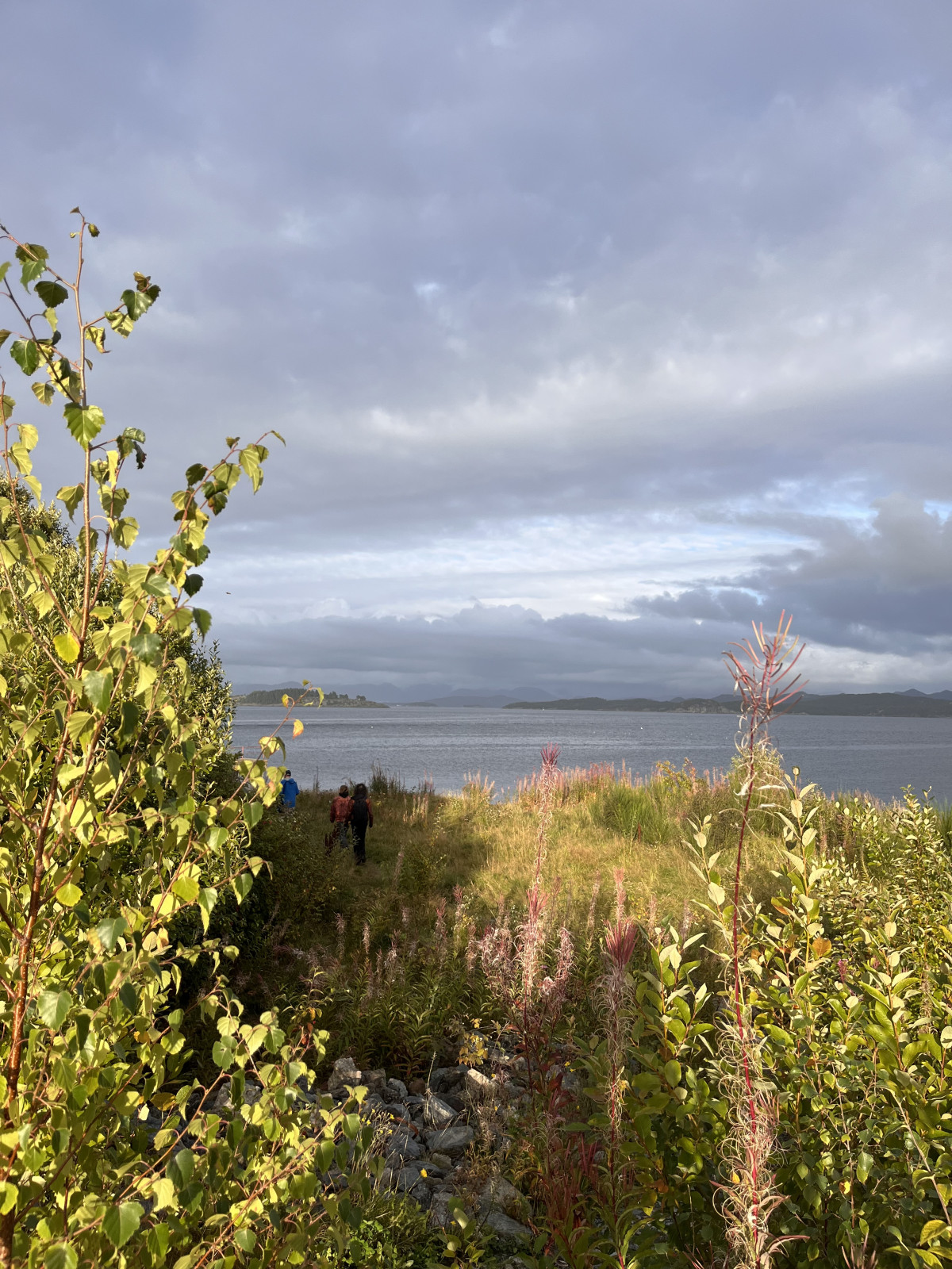 view of the main path, in the distance the fjord, an island, mountains
